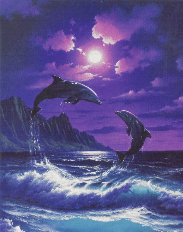 Dolphins in the Moonlight